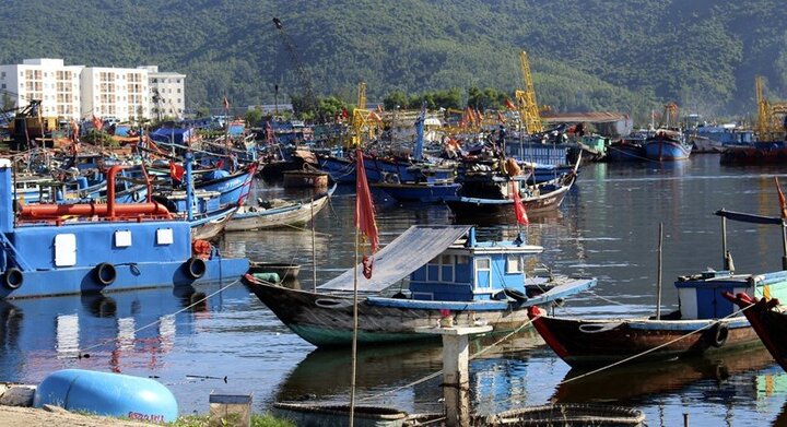 Vì sao dừng triển khai công trình hàng hải đầu tiên theo hình thức PPP tại Đà Nẵng?