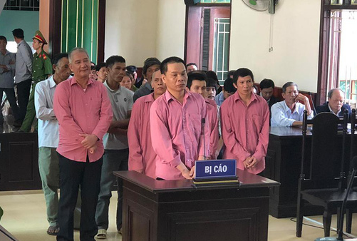 9 bị cáo phá rừng ở Bình Định lĩnh 81 năm tù