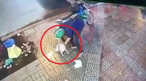Clip: Truy tìm nam thanh niên đội mũ Grabbike trộm chó ở TP.HCM