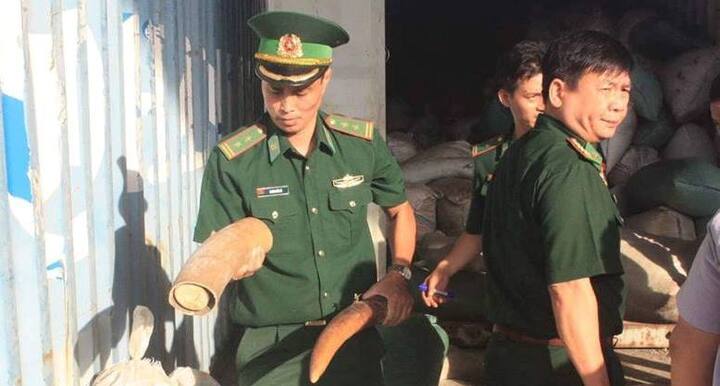 Phó Thủ tướng biểu dương các đơn vị bắt giữ hơn 10 tấn ngà voi, vảy tê tê