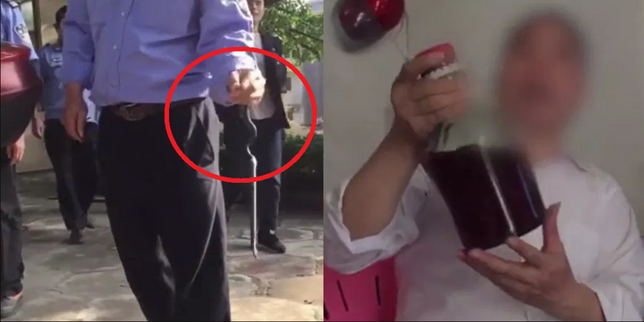 Clip: Trườn vào bốt bảo vệ, rắn hổ mang bị tóm sống, đem ngâm rượu