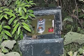 Trộm vứt két sắt chứa hơn 1 tỷ đồng ở An Giang