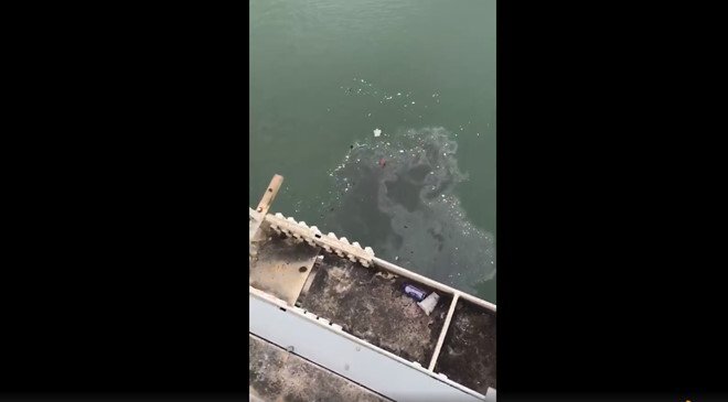 Xe buýt chở nhiều người rơi xuống sông Dương Tử ở Trung Quốc