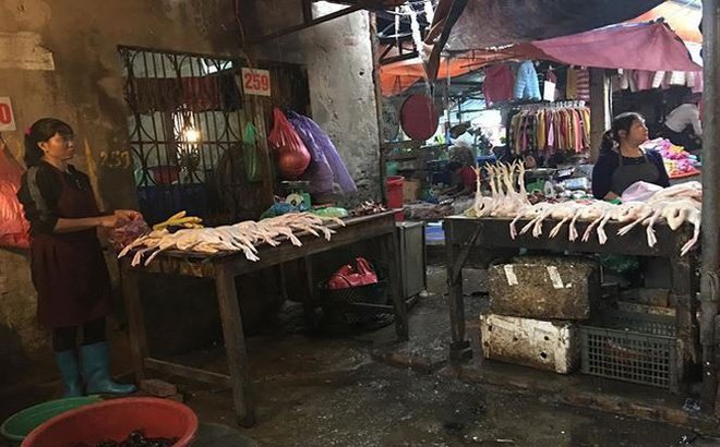 Hà Nội phát hiện thịt lợn, thịt gà nhiễm khuẩn Salmonella