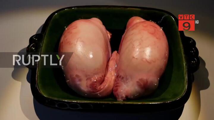 Cá mập thối, phô mai giòi trong bảo tàng đồ ăn kinh dị khiến du khách muốn nôn mửa