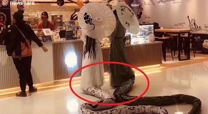 Clip: 2 mỹ nữ cosplay Thanh Xà, Bạch Xà đại náo trung tâm mua sắm