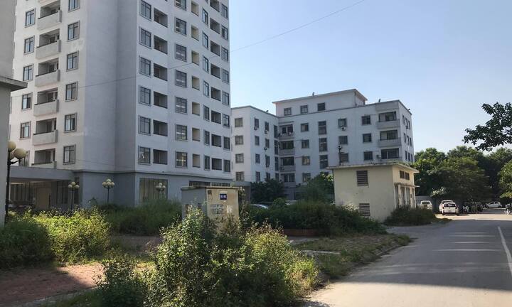 Khu tái định cư Phú Diễn bỏ hoang, cỏ mọc ùm tùm