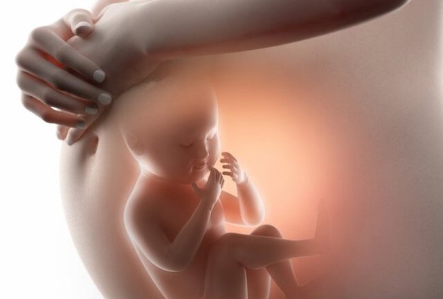 Phát hiện nhiều dị tật thai nhi từ xét nghiệm máu mẹ