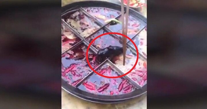 Clip: Hoảng hồn phát hiện chuột chết trong nồi lẩu ở nhà hàng Trung Quốc