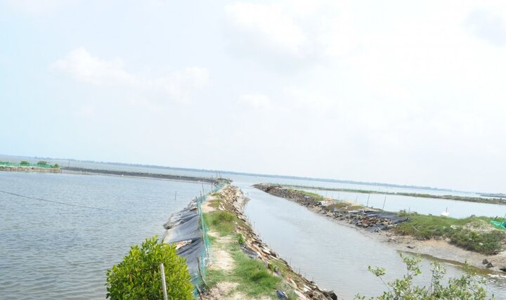 Ra hồ nuôi tôm chơi, bé trai 19 tháng tuổi chết đuối ở Quảng Nam