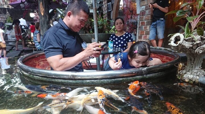 Quán cà phê giữa hồ cá Koi tiền tỷ hút khách ở TP.HCM