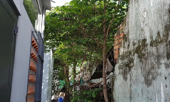 Nam thanh niên treo cổ trên cây trứng cá ở Đà Nẵng