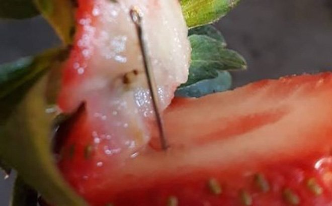 Bà My Ut Trinh không phải là người duy nhất đâm kim vào trái cây tại Australia?