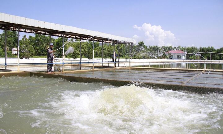 Đà Nẵng thiếu nước trên diện rộng, Bộ TN&MT yêu cầu đảm bảo nước sinh hoạt cho dân