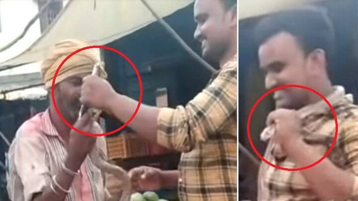 Clip: Quấn rắn hổ mang quanh cổ, nam thanh niên bị cắn chết thảm