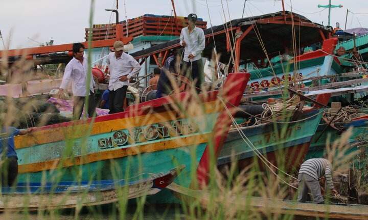 Hơn 5.600 tàu thuyền ở Bình Thuận neo đậu tránh bão số 8 an toàn