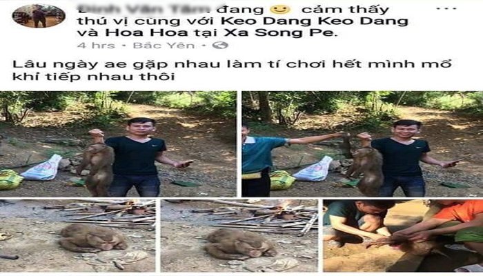 Xác định nam thanh niên giết khỉ dã man rồi đăng ảnh lên Facebook