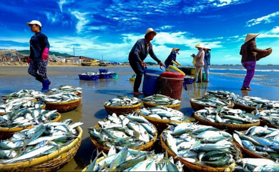 Điểm tên những mặt hàng nông, lâm, thủy sản mang hàng tỷ USD về cho Việt Nam