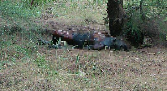 Phát hiện thi thể cụ ông chết cháy nghi do tự thiêu