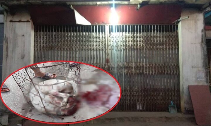 Chó Pitbull 30kg điên cuồng lao vào cắn chủ nhà và hàng xóm: Lời kể hãi hùng của nhân chứng