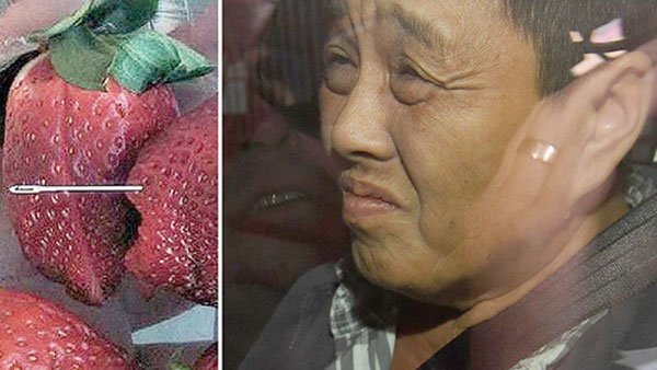 Nghi phạm gốc Việt nhét kim vào dâu tây Úc được tại ngoại