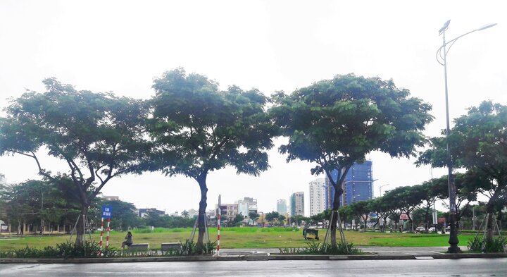 Đà Nẵng xem xét, đấu giá lại các lô đất vừa hủy kết quả