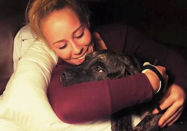 Lý giải nguyên nhân chó nhà nuôi tấn công chủ dã man