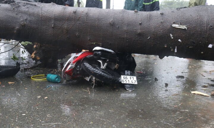 Gần 100 cây xanh ngã đổ, 3 người bị đè thương vong ở TP.HCM