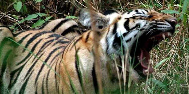 Nơi hổ thần ngự trị và quả núi rùng rợn không ai dám vào ở Sơn La