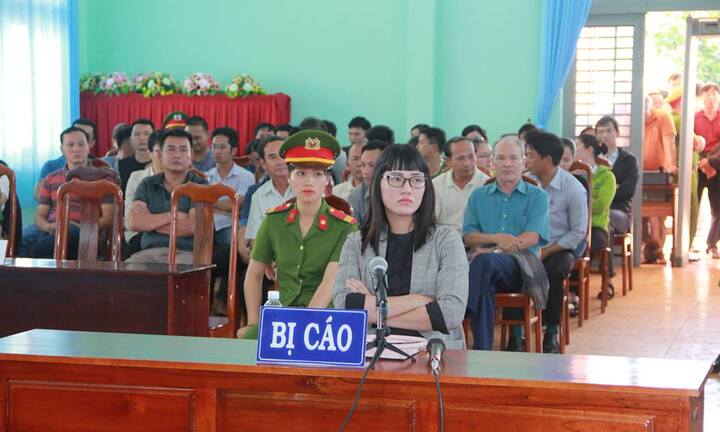 Kẻ 'xúc phạm Quốc kỳ' bị xử phạt 2 năm 9 tháng tù giam