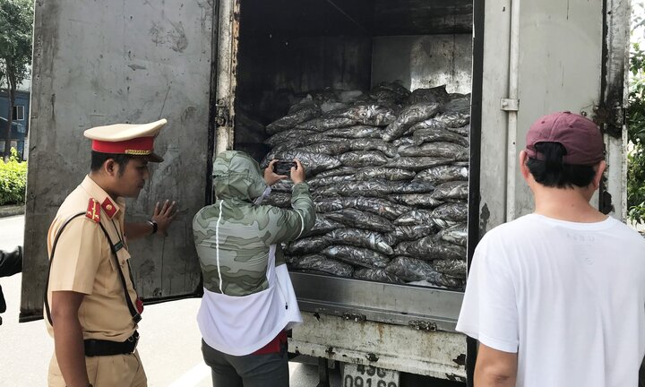 Bắt giữ xe tải chở 3,5 tấn cá thải nước bốc mùi hôi thối trên đường Đà Nẵng