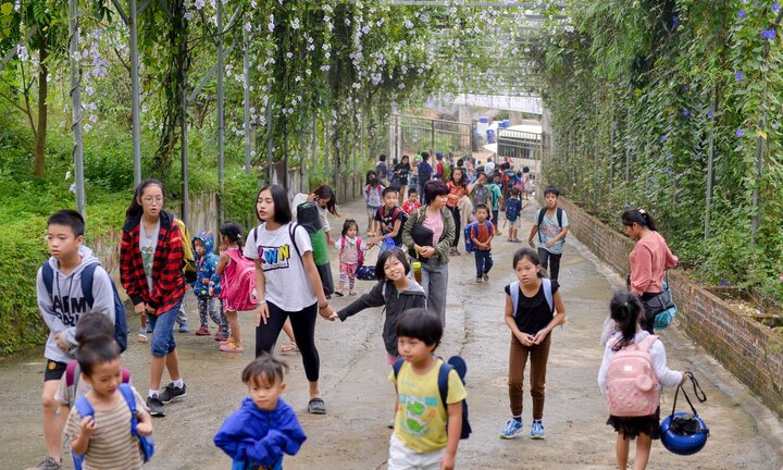 Video: Trường học đặc biệt trên đồi, không áp lực điểm số, không bài tập về nhà