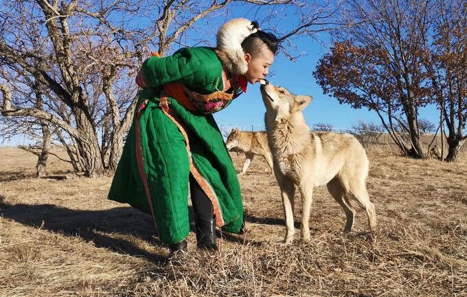 Cô gái 20 tuổi cho đàn sói ăn bằng miệng