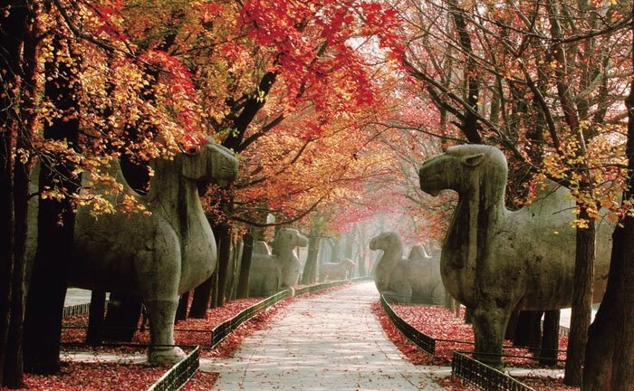 Xuống lăng mộ bí ẩn và vĩ đại nhất thế giới, chứa hàng ngàn tấn báu vật