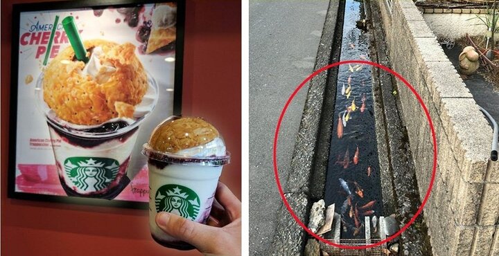 Loạt hình ảnh chứng minh Nhật Bản chẳng giống quốc gia nào trên thế giới