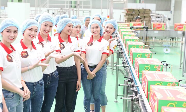 Hoa khôi sinh viên 2018 mục sở thị công nghệ Aseptic ABF của Tân Hiệp Phát