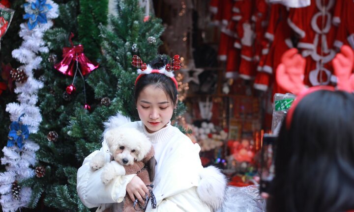 Ảnh: Ngắm những đồ vật độc đáo người dân Thủ đô săn lùng vào dịp Noel