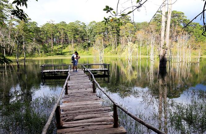 Tháo dỡ phim trường 'chui' tại di tích thắng cảnh quốc gia ở Đà Lạt