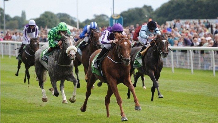 Chính phủ đồng ý cho Hà Nội xây Trường đua ngựa