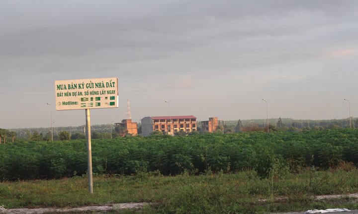 Nhiều doanh nghiệp bất động sản bị cưỡng chế nợ thuế