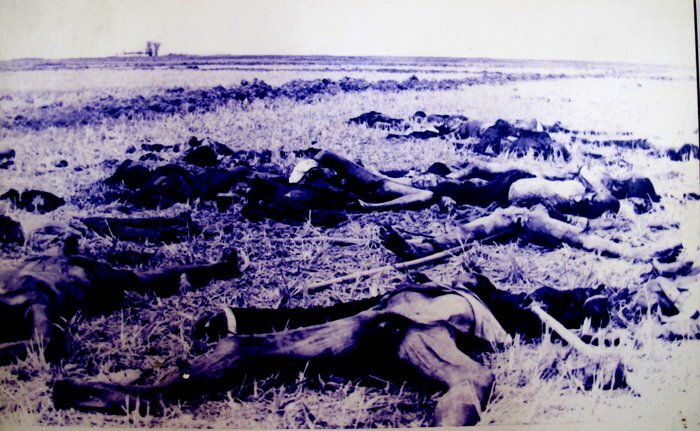 Cô bé bị bắn vỡ sọ, thủng ngực, thoi thóp 12 ngày giữa cánh đồng xác chết