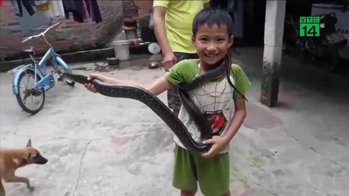 Bé trai Việt tay không bắt rắn 2 m, gây kinh ngạc trên báo nước ngoài