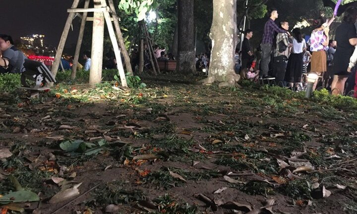 Video: Vườn hoa ở Hà Nội bị giẫm nát sau lễ đón năm mới 2019