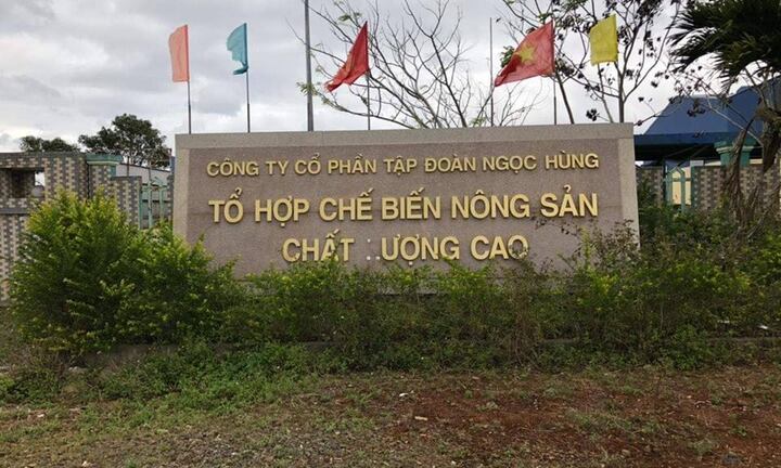 Một công nhân bị rơi từ mái nhà xuống đất thiệt mạng