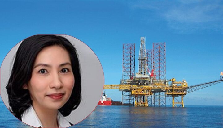 Bắt giam nữ Phó tổng giám đốc PVEP Vũ Thị Ngọc Lan
