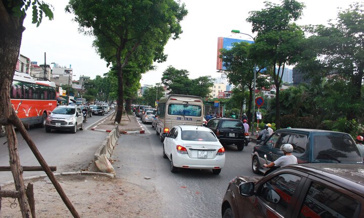 Di chuyển gần 500 cây xanh để mở rộng đường Láng: Hàng xà cừ sẽ ra sao?