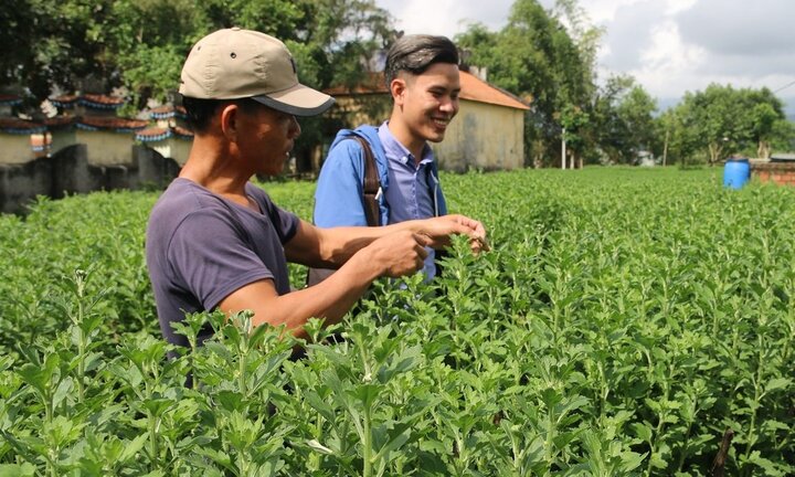 Làng hoa nổi tiếng nhất Đà Nẵng chuẩn bị đón Tết thế nào?