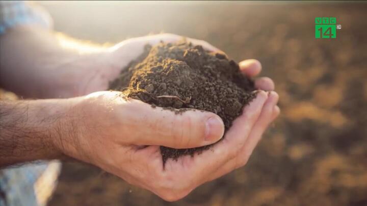 Ở nơi này, đất được chứng minh là 'thần dược' chữa bệnh