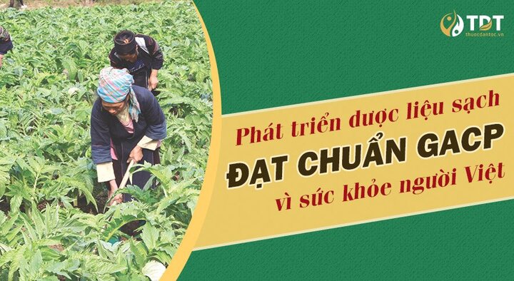Trung tâm Nghiên cứu và Ứng dụng Thuốc dân tộc: Ưu tiên phát triển dược liệu sạch đạt chuẩn GACP vì sức khỏe người Việt