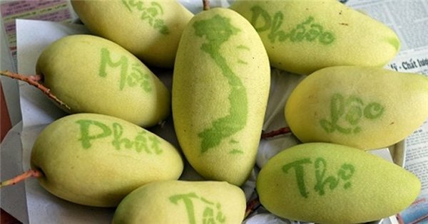 Độc lạ chữ thư pháp ‘bay lượn’ trên trái xoài miền Tây